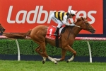 Tradesman got the job done at Warrnambool, now for the Doomben Cup