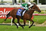 Frank Packer Plate favourite Holy Snow on Winter Carnival trial