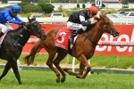 Blue Diamond Stakes scripted in for Written By after C&G Prelude win