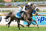 Manighar To Target Caulfield Cup