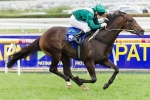Samaready to miss Melbourne Festival Of Racing Samaready to miss Melbourne Festival Of Racing