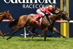 Catchy back to her best for Danehill Stakes
