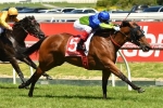 Fuhryk A Class Above in Kevin Hayes Stakes