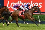Blue Diamond Stakes an Option for Prelude C&G Winner Property