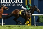 Newmarket Handicap the Target for Rubiton Stakes Winner Super Cash Newmarket Handicap the Target for Rubiton Stakes Winner Super Cash