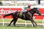 Heatherly Might Not Lead In Oakleigh Plate