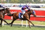 Mahuta holding his form going into Australian Guineas