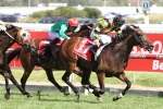 Currie and Suavito to team up again in Futurity Stakes