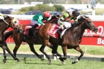 11 In Futurity Stakes Field 11 In Futurity Stakes Field