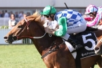 Tuscan Sling To Mannerism Stakes After Bellmaine Stakes Win Tuscan Sling To Mannerism Stakes After Bellmaine Stakes Win
