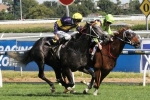 Newmarket Handicap Likely For Chautauqua After Rubiton Stakes Win Newmarket Handicap Likely For Chautauqua After Rubiton Stakes Win