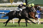 Chautauqua Heads TJ Smith Stakes First Acceptances