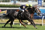 Chautauqua On Top Of Newmarket Handicap Betting