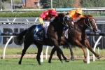2015 Orr Stakes Results: Dissident Wins