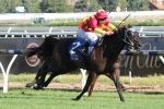 No Doncaster Mile For Dissident No Doncaster Mile For Dissident