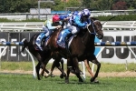 Williams To Ride Fontiton In Moir Stakes Williams To Ride Fontiton In Moir Stakes