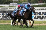 Fontiton To Start Blue Diamond Stakes As Favourite Following Fillies Prelude Win