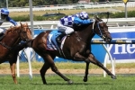 2015 Blue Diamond Stakes Field Released