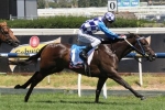 2015 Blue Diamond Stakes Tips: Fontiton The Horse To Beat