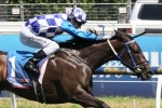Fontiton clear favourite for Blue Diamond Stakes