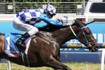 Moir Stakes first up for Fontiton Moir Stakes first up for Fontiton