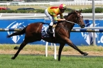 Price Pleased with Lankan Rupee Ahead of Spring