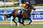 Lankan Rupee draws barrier 9 in Bletchingly Stakes