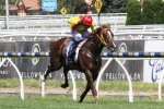Vain Stakes Kick-Off Likely For Of The Brave Vain Stakes Kick-Off Likely For Of The Brave