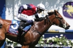 Australian Guineas May Figure for Kevin Hayes Stakes Winner Sabatini