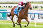 Earthquake Back In Work For Golden Slipper