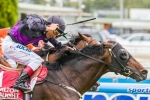 Fiorente To Deliver Waterhouse Her First Australian Cup Win