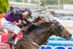 Fiorente To Deliver Waterhouse Her First Australian Cup Win Fiorente To Deliver Waterhouse Her First Australian Cup Win