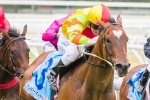 Extra spring race for Moir Stakes favourite Lankan Rupee