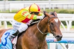 Newitt picks Buffering as the one to beat in Moir Stakes