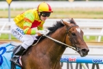 Oakleigh Plate winner Lankan Rupee the next sprinting star