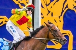 Newitt To Ride Lankan Rupee In T.J. Smith Stakes
