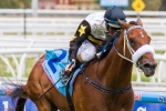 Final field of 13 for 2014 Winterbottom Stakes