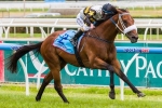 Injured Moment Of Change Out Until Darley Classic Injured Moment Of Change Out Until Darley Classic