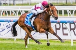 Not Listenin’tome To Resume In Schillaci Stakes Following Barrier Trial Win