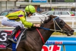 Spirits Dance continues winning streak in Angus Armanasco Stakes