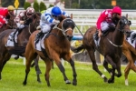 Leading Chances Draw Wide For Alister Clark Stakes