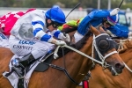 Vilanova unlikely Australian Guineas runner