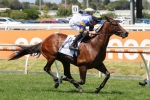 All The Way win for Adelaide Ace in Caulfield Autumn Classic