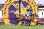 Meliora leads all the way in Armanasco Stakes Meliora leads all the way in Armanasco Stakes
