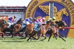 Star Of Giselle scores narrow win in Mannerism Stakes Star Of Giselle scores narrow win in Mannerism Stakes