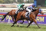 Super Cool has race fitness advantage in Australian Cup