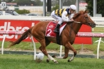 Australian Cup next for Peter Young Stakes winner Gailo Chop