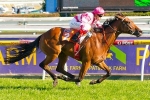 Hi Belle Chasing Second Summoned Stakes Win Hi Belle Chasing Second Summoned Stakes Win