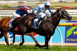 Ten-Time Group 1 Winner King Mufhasa Retired Ten-Time Group 1 Winner King Mufhasa Retired