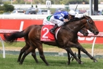 Benz Returns With Ladbrokes Zeditave Stakes Wins Benz Returns With Ladbrokes Zeditave Stakes Wins